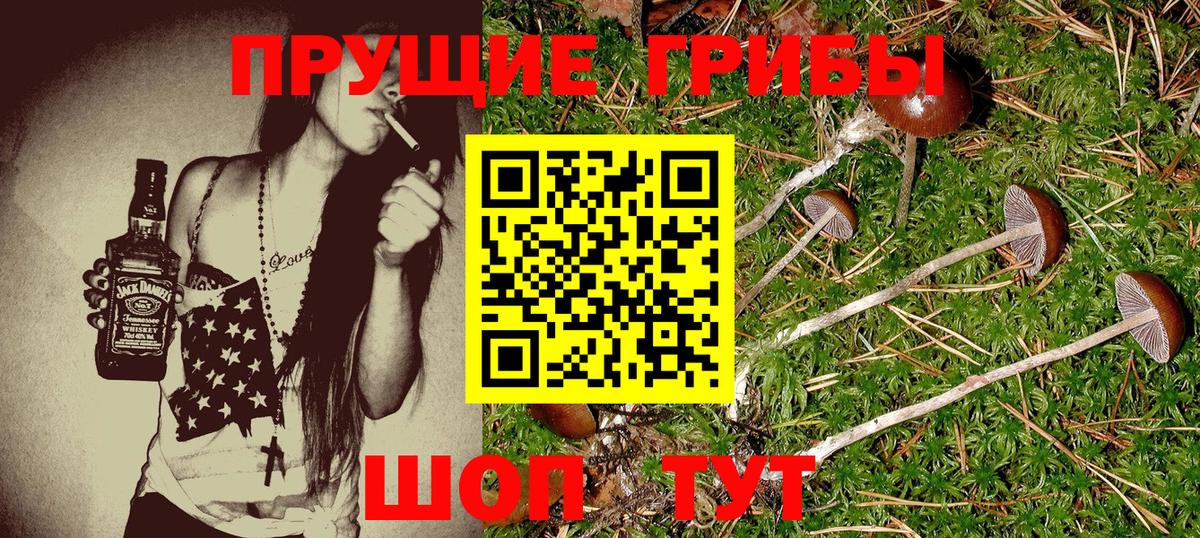 Галлюциногенные грибы Magic Shrooms  Вход с VPN  Ростов Великий  Галлюциногенные грибы ЛСД 