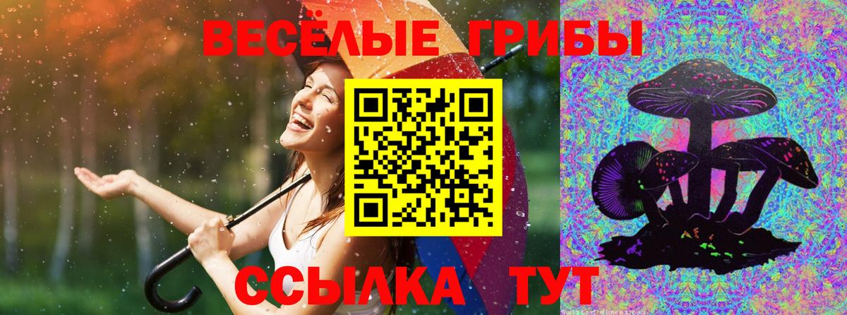 Галлюциногенные грибы ЛСД Ростов Великий